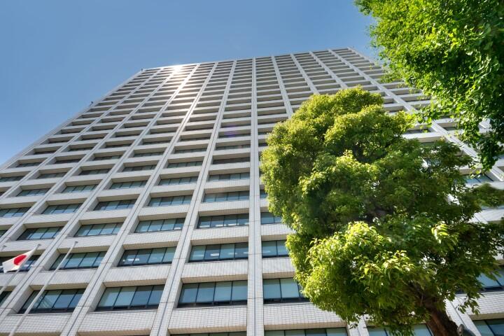 【検討会報告】保健師の未来像を2類型で提示―厚労省、2040年の地域保健を見据え議論