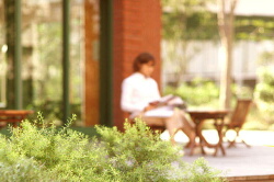 No.9 対象別協働実践報告（3）　精神・社会的弱者