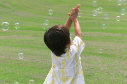 No.1 原発事故後の復旧期における保健師活動―放射線防護文化をつくるために